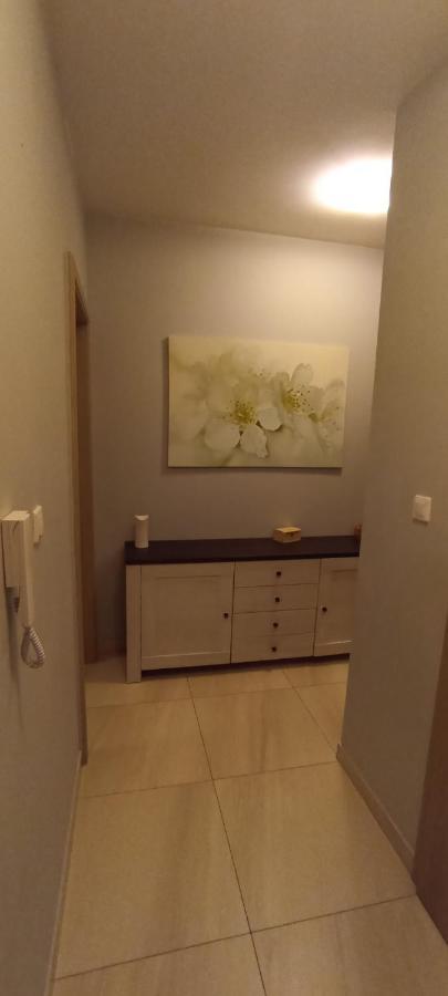 Apartament Szarlotka Apartment Jelenia Gora Bagian luar foto